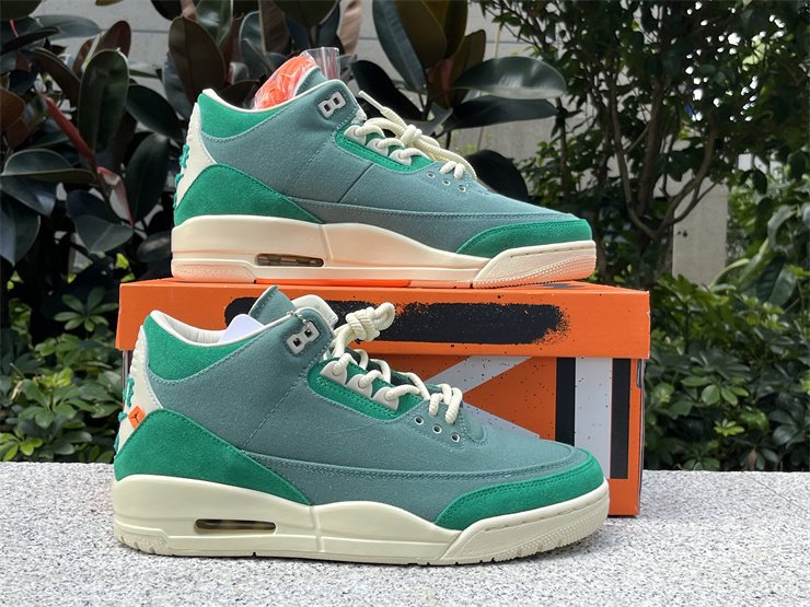 Air Jordan 3 Retro x Nina Chanel Abney Bicoastal (W/M Sizes)