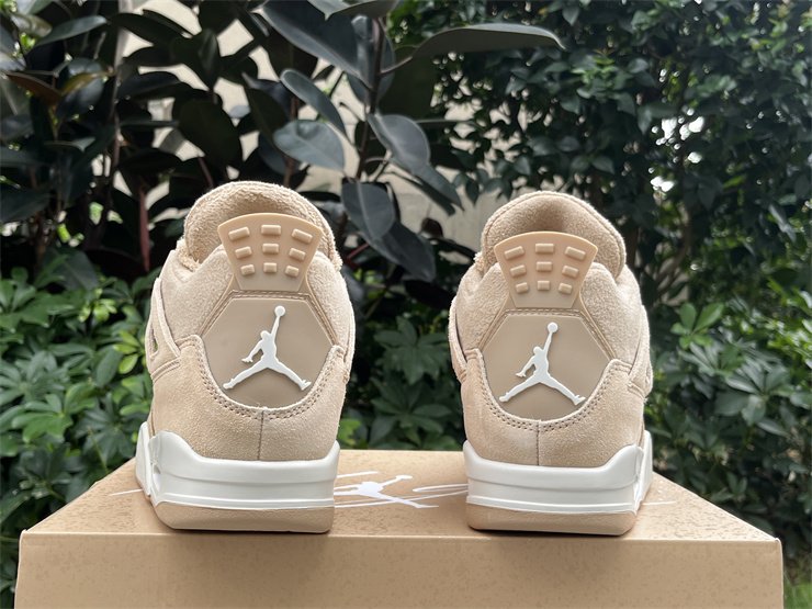 Air Jordan 4 Cozy Girl 2025 1