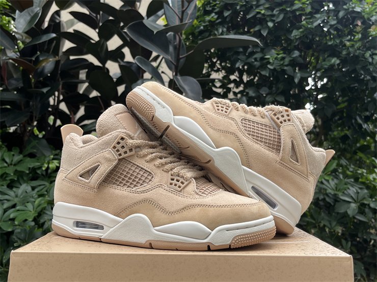 Air Jordan 4 Cozy Girl 2025 2