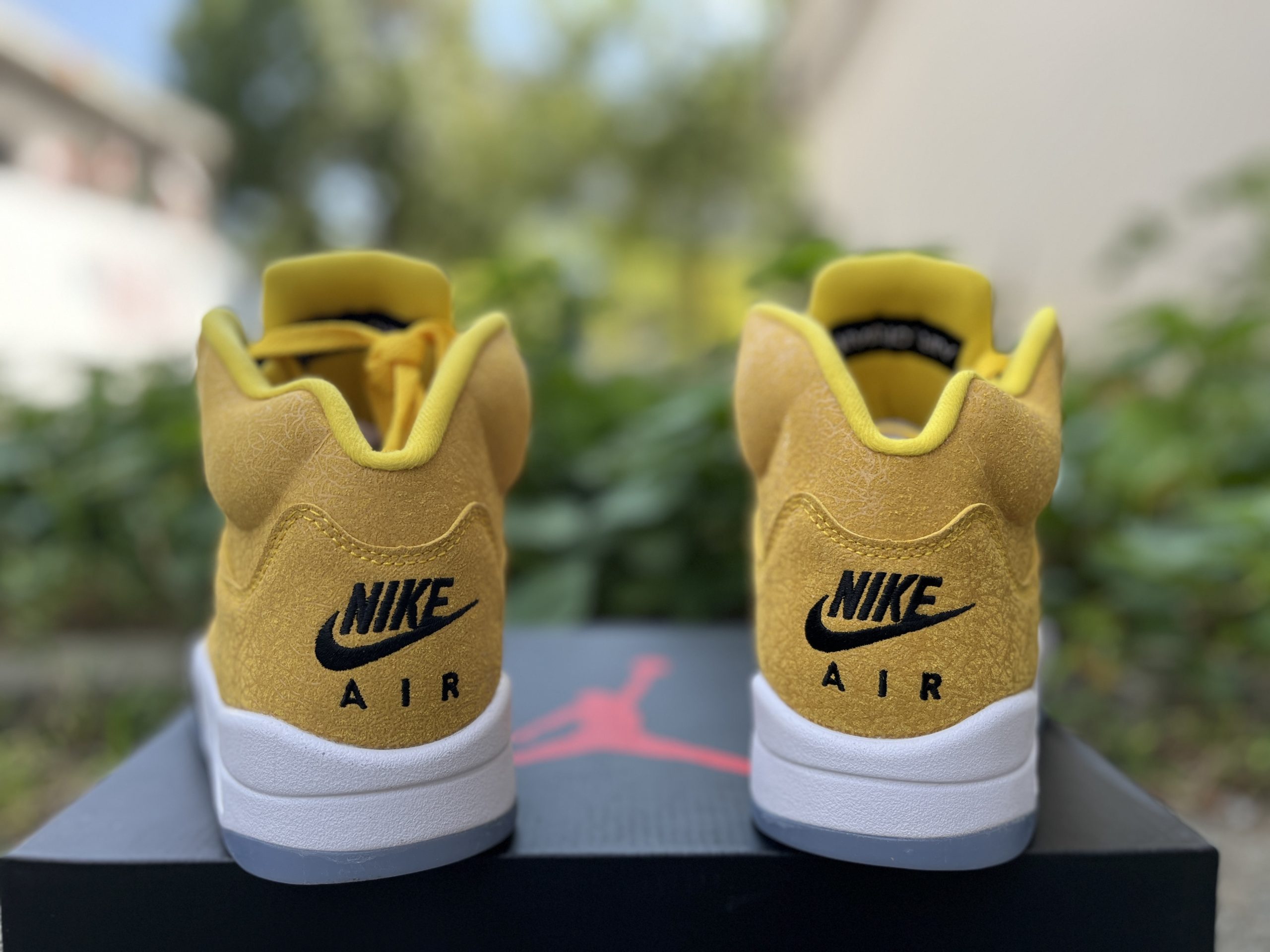 Air Jordan 5 Michigan Gold 2