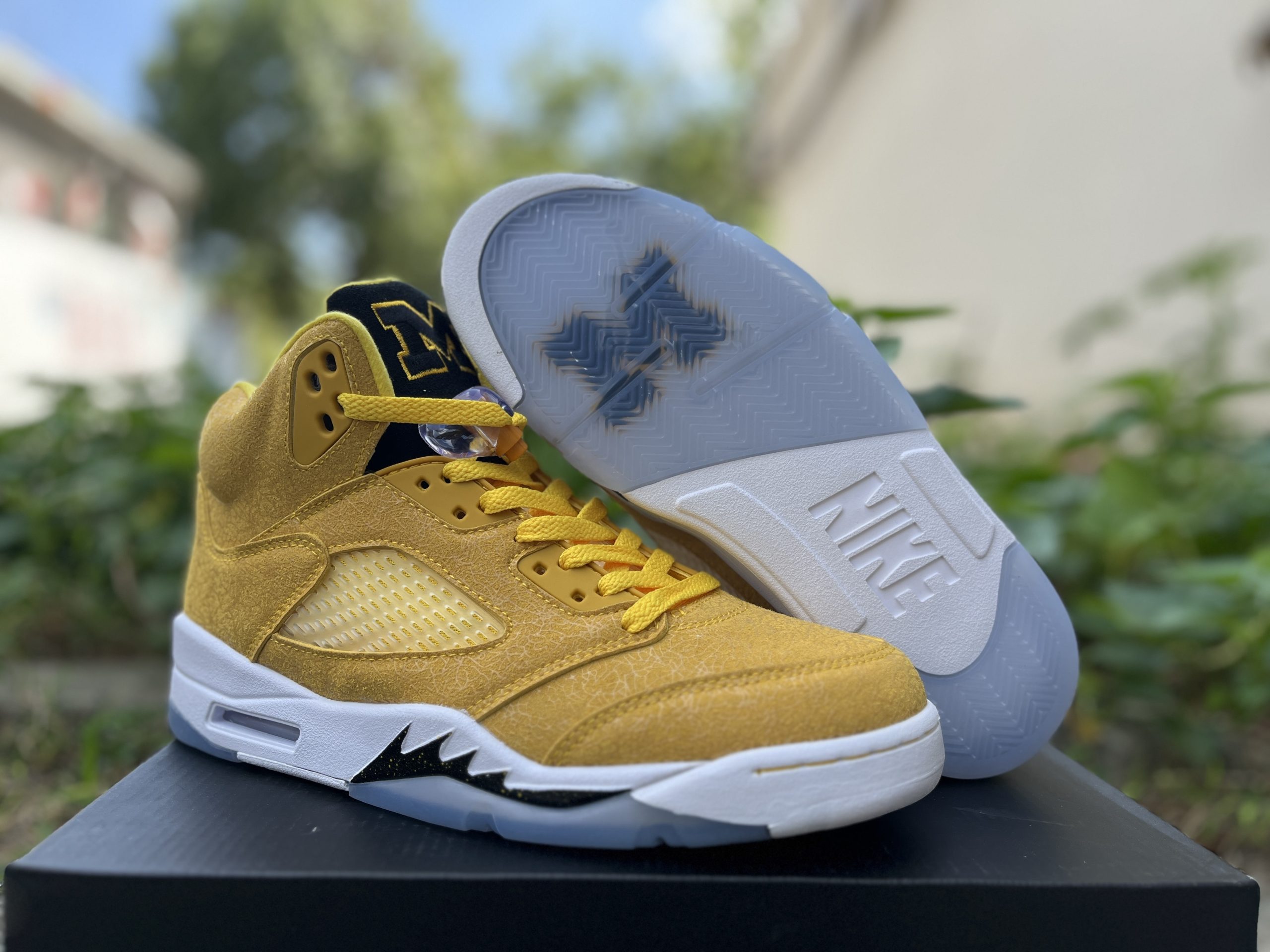 Air Jordan 5 Michigan Gold 3