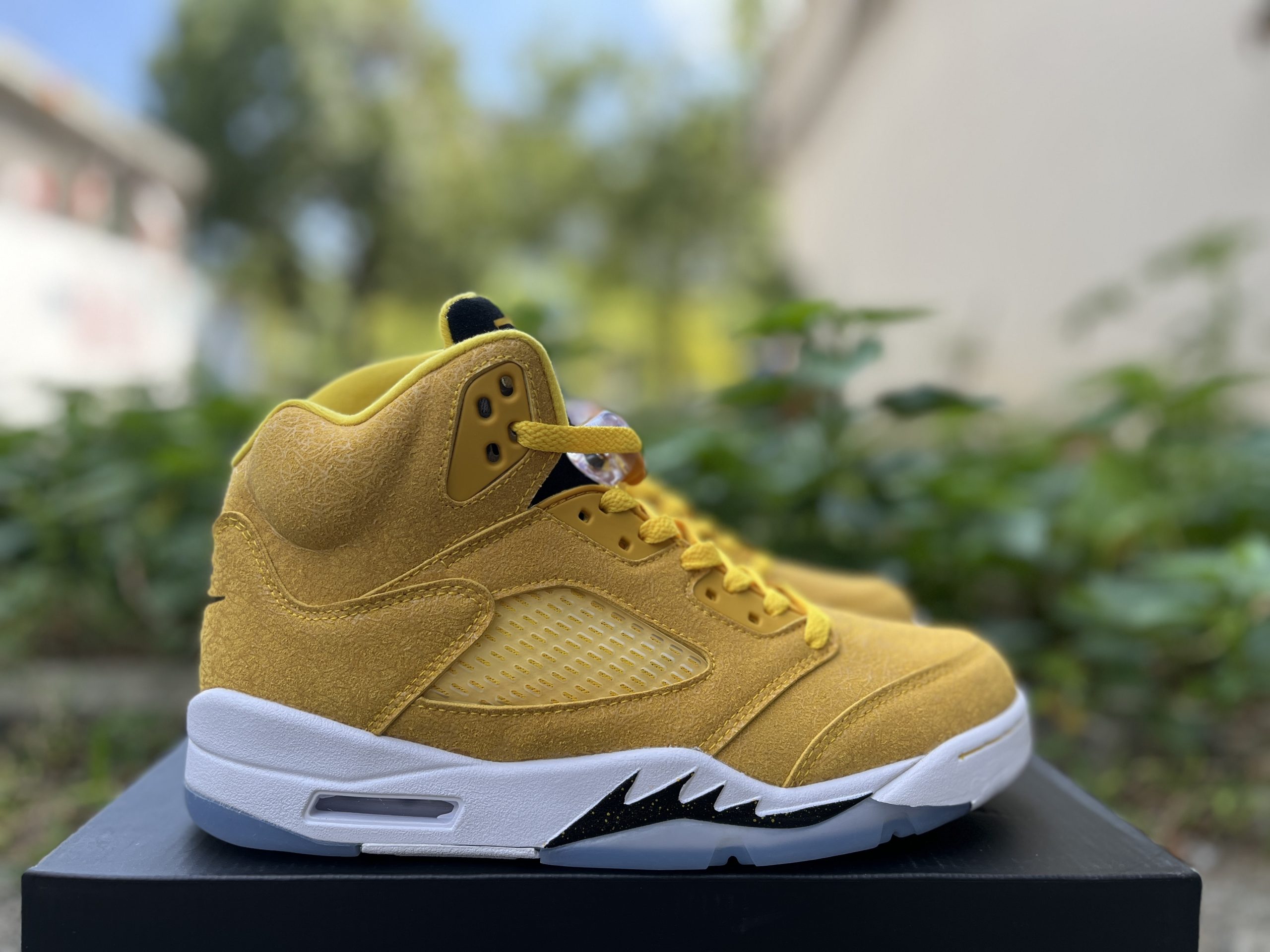 Air Jordan 5 Michigan Gold HQ7978-701
